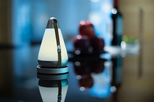 灵光随行 一款治愈系的智能驯化小夜灯